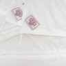 GERMAN GRASS Одеяло ALLIANCE TENCEL and HEMP GRASS двойное 200х200
