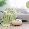 АЛЬВИТЕК Плед из велсофта SOFT PLUSH 013-SP 200х220