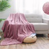 АЛЬВИТЕК Плед из велсофта SOFT PLUSH 015-SP 150х200