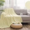 АЛЬВИТЕК Плед из велсофта SOFT PLUSH 017-SP 200х220