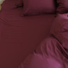 GERMAN GRASS Простыня PURPLE BRILLIANT GRASS 240х260