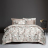 TANGO Комплект постельного белья из микросатина  DREAM FLY DF03-517 50х70 (2шт) евро