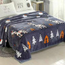 CRISTELLE Плед из микрофибры FLAMENCO CFR-91 150х200