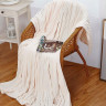 АЛЬВИТЕК Плед из велсофта SOFT PLUSH ORRIZONTE 002 200х220